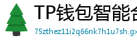 TP钱包智能合约交互｜Remix IDE手机端调试